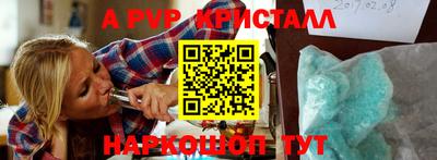 СК Волгодонск