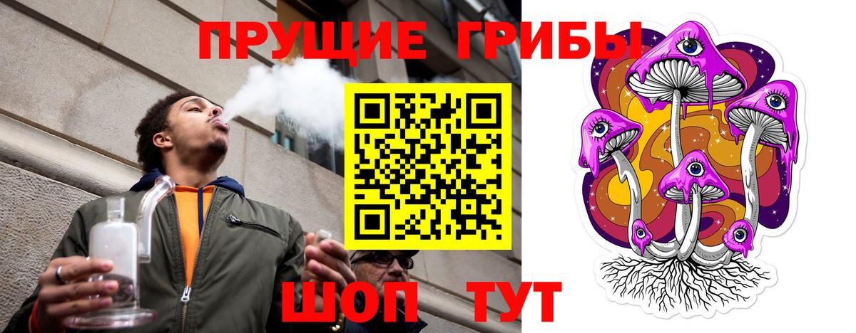 Зима  Псилоцибиновые грибы прущие грибы  Псилоцибиновые грибы Cubensis  где купить наркотик  Вход с VPN 