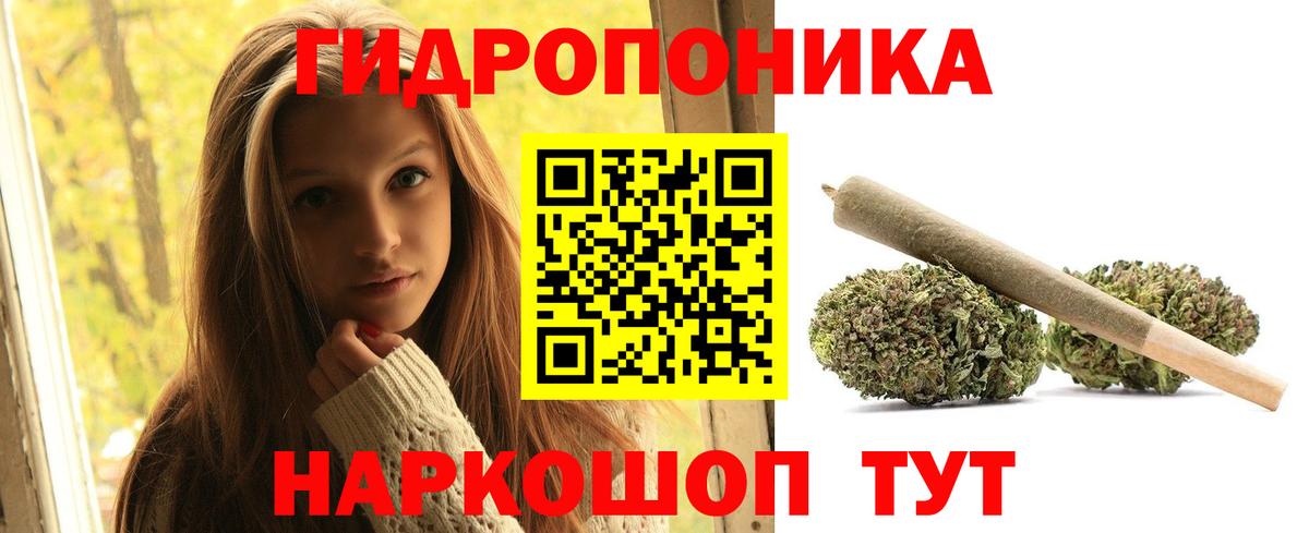 Шишки марихуана семена  Бошки Шишки SATIVA & INDICA  Зима  МАРИХУАНА VHQ  Бошки Шишки план  Вход с VPN 